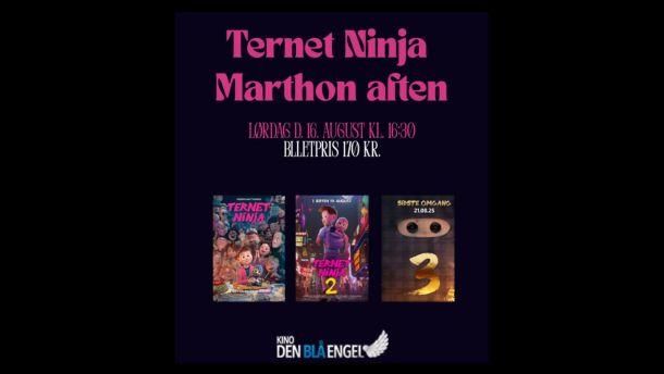 Ternet Ninja Marathon